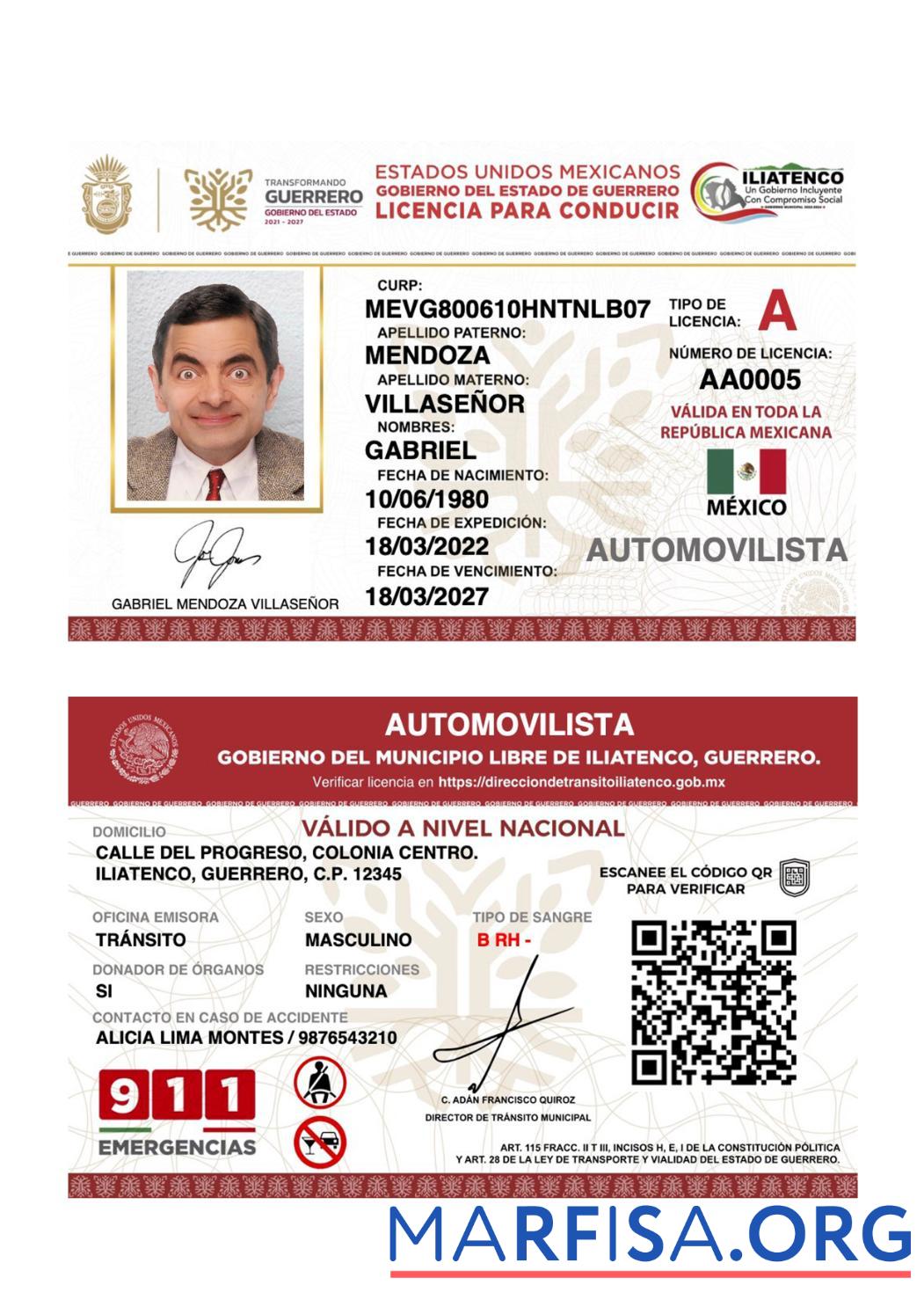 Blank Mexico Guerrero state driving license template